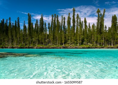 New Caledonia Royalty Islands Ile De Pan Natural Pool