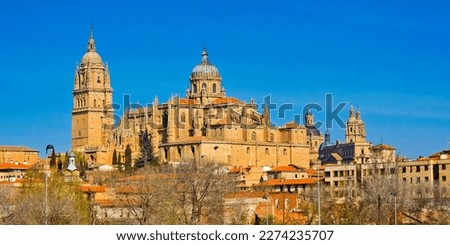 New Cathedral of Salamanca  Cathedral of the Asunción de María 16th-18th century Spanish Property of Cultural Interest at Salamanca  UNESCO World Heritage Site  Castile 
