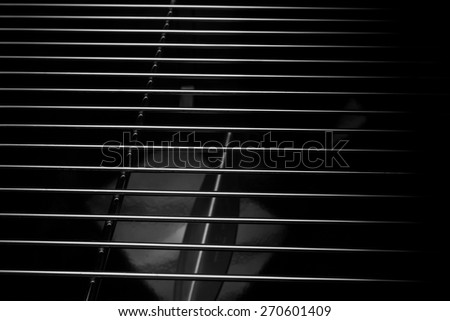 Similar – Image, Stock Photo Music 3 Double bass Sound