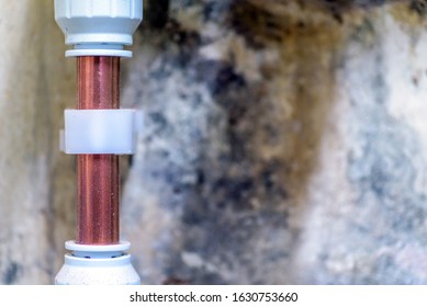 106 Mouldy pipe Images, Stock Photos & Vectors | Shutterstock