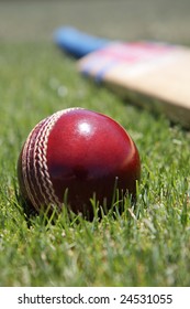 New Cricket Ball And Bat On Green Grass.