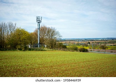 New Crops Farming Field Over Mobile Network Tower In The English Countryside.