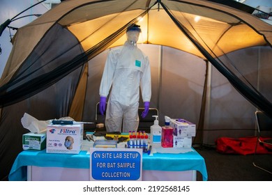 New Delhi, India-Feb 27 2022: On Site Lab Setup For Bat Sample Collection 