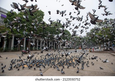 New Delhi, India-Jan 16 2022: Pigeons Are Flying From Empty Parking Space Of A Market Area Of Connaught Place During A State Wide Weekend Curfew Imposed By The Authorities