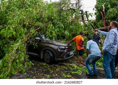 New Delhi, India-May 30 2022: People Trying To Rescue A Car From Under Fallen Tree At Ahoka Road,  Uprooted Tree Fallen On Ashoka Road Following Heavy Thunderstorms And Rain Shower,  