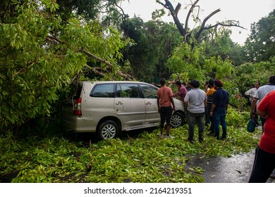 New Delhi, India-May 30 2022: People Trying To Rescue A Car From Under Fallen Tree At Ahoka Road,  Uprooted Tree Fallen On Ashoka Road Following Heavy Thunderstorms And Rain Shower,  