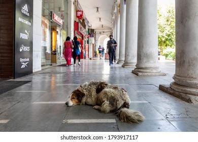 New Delhi, July 05, 2020: A Stray Dog Sleeps In The Middle Of The Corridor In The Central Business District Of Connaught Place In New Delhi