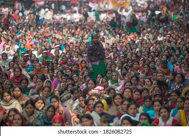 New Delhi/India -Feb 15 2016:  Anganwadi  Workers Protest Against Centre Government At Jantar Mantar