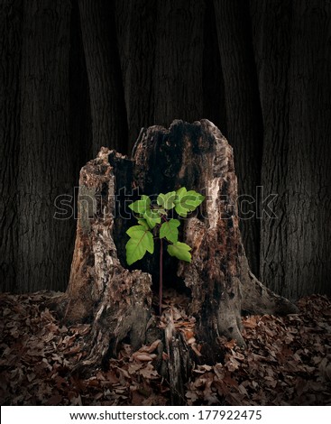 New development and renewal concept as a hollow old rotting tree stump with a growing green sapling emerging and replacing the past as metaphor for revival in business and in life.