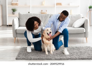 New Domestic Animal. Portrait of happy millennial black couple scratching their adopted pet dog, sitting on rug floor carpet at home. Cheerful spouses hugging their golden retriever in living room - Powered by Shutterstock