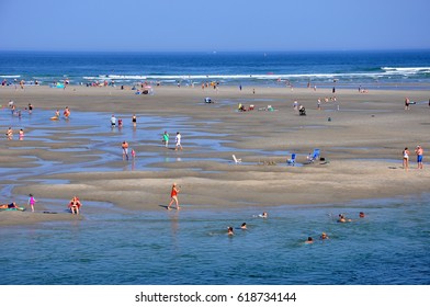 New England beach with bathers 