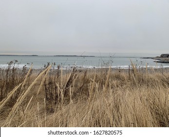 New England Beach Coastline In Revere With Beach Plant Life. 