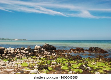 New England Beach Shoreline. Seascape Of Rocky Beach With Green Moss. Ocean View. Dried Seaweed On Rocks. Low Tide Beach Scene