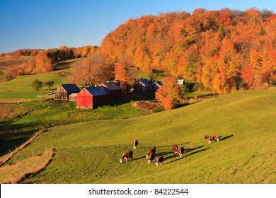 New England Fall Colors