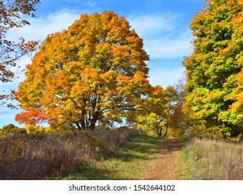 New England Fall Foliage Bay Farm Duxbury Massachusetts Bay Circuit Trail 