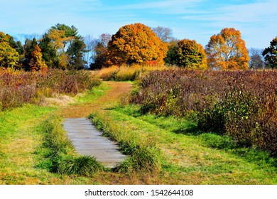 New England Fall Foliage Bay Farm Duxbury Massachusetts Bay Circuit Trail 