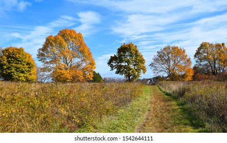 New England Fall Foliage Bay Farm Duxbury Massachusetts Bay Circuit Trail 