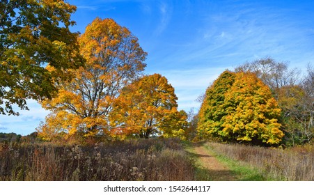 New England Fall Foliage Bay Farm Duxbury Massachusetts Bay Circuit Trail 