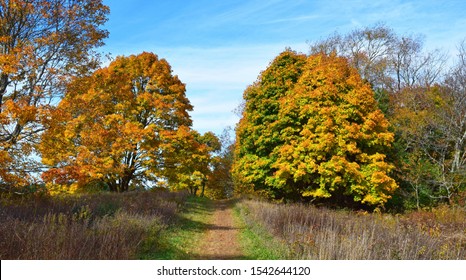 New England Fall Foliage Bay Farm Duxbury Massachusetts Bay Circuit Trail 