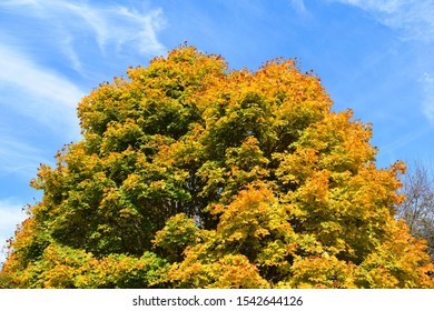 New England Fall Foliage Bay Farm Duxbury Massachusetts Bay Circuit Trail 