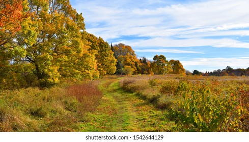 New England Fall Foliage Bay Farm Duxbury Massachusetts Bay Circuit Trail 