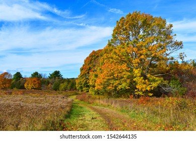 New England Fall Foliage Bay Farm Duxbury Massachusetts Bay Circuit Trail 