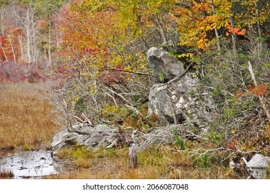 New England Fall Foliage In Connecticut River Valley