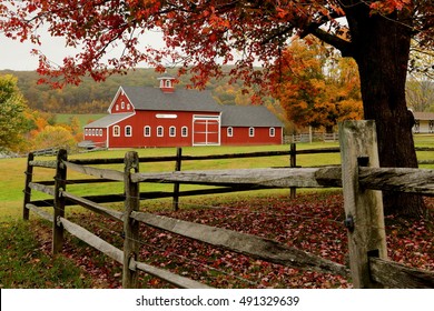 New England Farm In Autumn