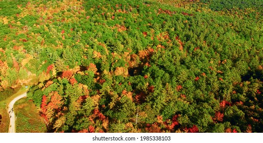New England Foliage In Fall Season. Aerial View.