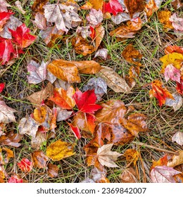 New England foliage, USA. Vermont - Shutterstock ID 2369842007