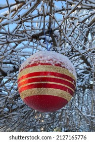 New England Snow Covered Red And Gold Ornament Hanging From The Branches