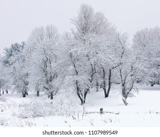 New England Winter Scene From Londonderry, New Hampshire.