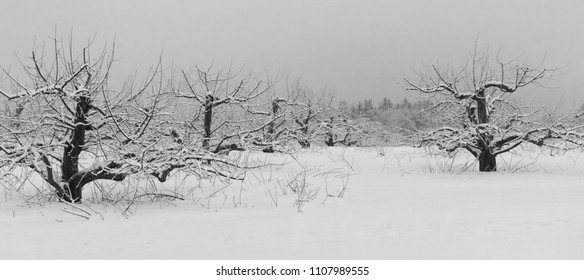 New England Winter Scene From Londonderry, New Hampshire.