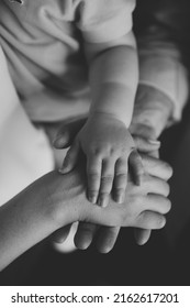 New Family Holding Each Others Hands In Black And White