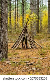 New Forest Landscapes, Tall Trees And Wilflife