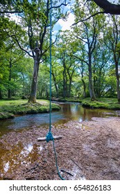 The New Forest National Park Hampshire.