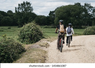 New Forest National Park, UK - July 13, 2019: Rear View Of People Cycling On A Gravel Path Inside New Forest, A Famous National Park In Dorset, UK.