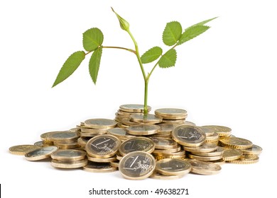 New Green Plant Shoot Growing From Money