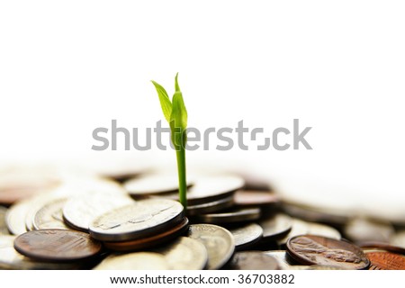 new green plant shoot growing from money