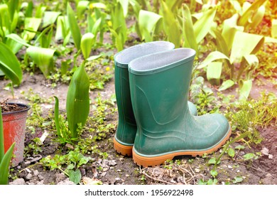 gumboots and rain boots