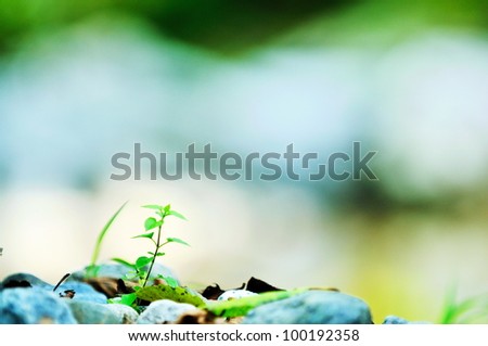 Similar – Image, Stock Photo Trees and rocks in the fog