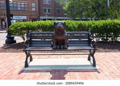 New Haven, Connecticut USA - July 27 2021: Yale University Handsome Dan Statue On A Park Bench In New Haven Connecticut