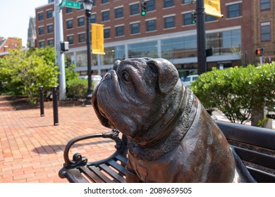 New Haven, Connecticut USA - July 27 2021: Yale University Handsome Dan Statue On A Park Bench In New Haven Connecticut