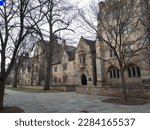 new haven ct yale university