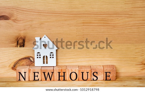 New House  Concept\
with White House Model 