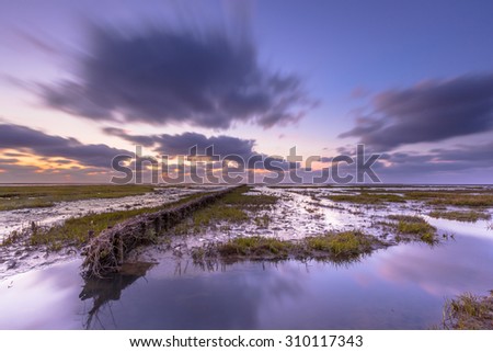 New land being created in the tidal marsh of the Waddensea on the Groningen coast in the Netherlands