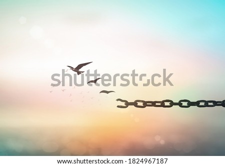 New life concept: Bird flying and broken chains over blurred nature sunrise background
