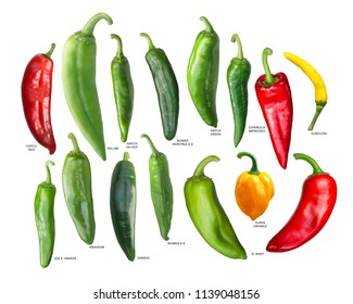 New Mexican Chili Peppers Or Hatch Chiles, Whole Pods