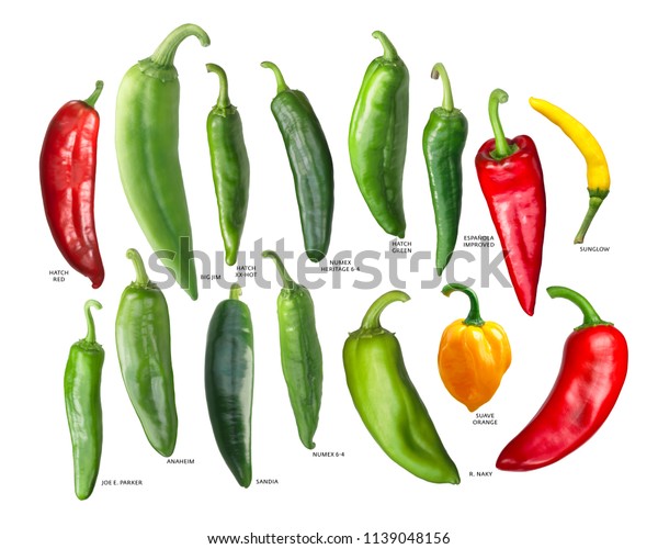 New Mexican Chili Peppers Hatch Chiles Stock Photo (edit Now) 1139048156