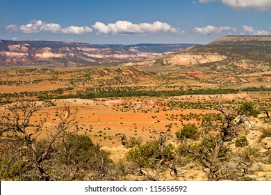 New Mexico Desert Landscape